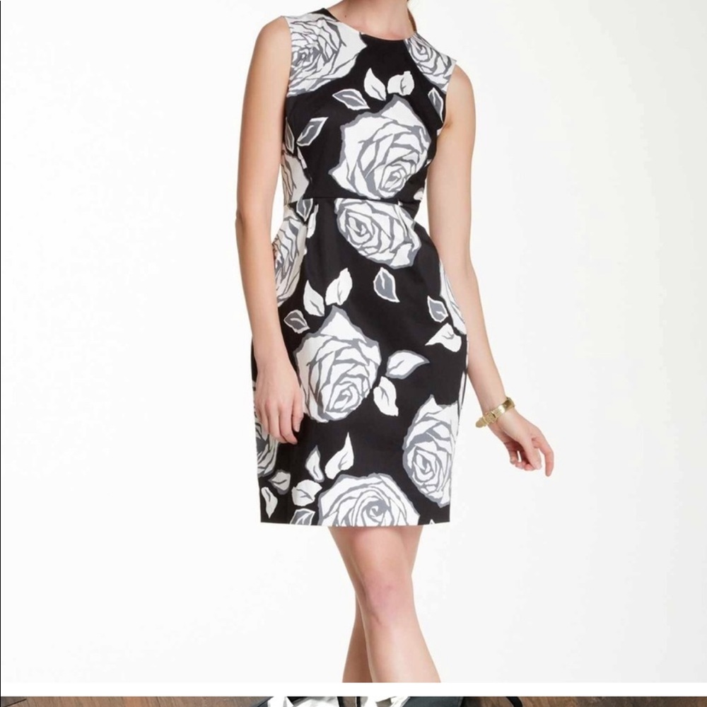Kate Spade Aires Rose Abbey Dress